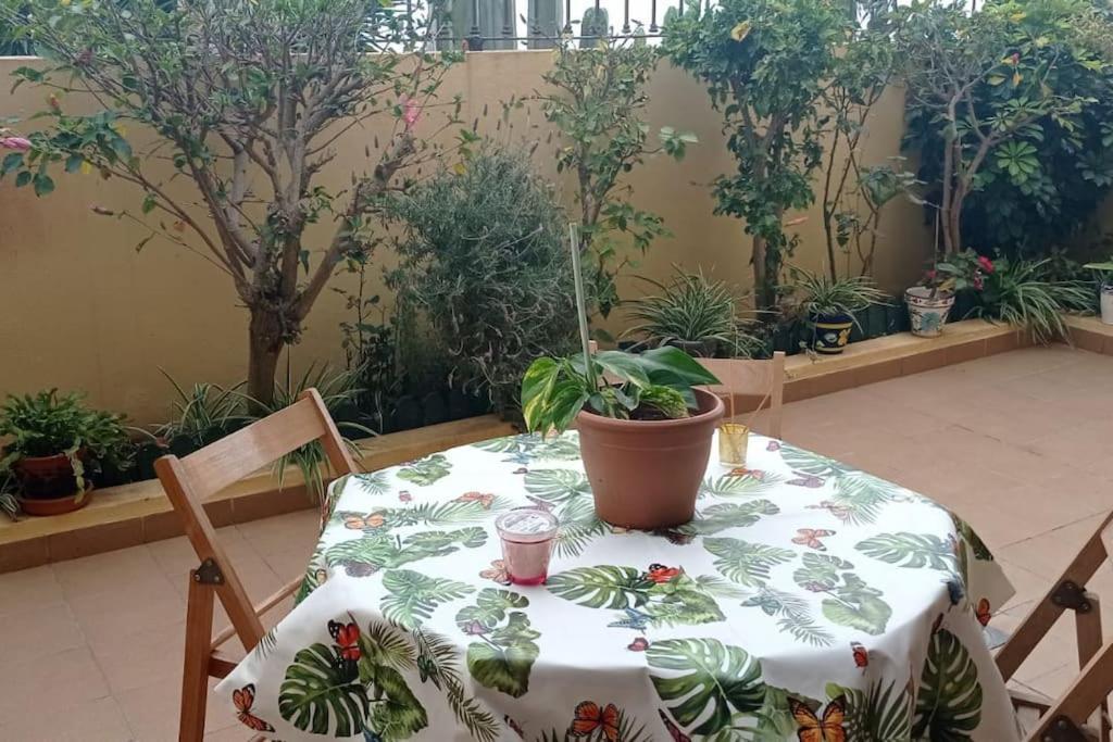 Casa El Sentir Apartment Sauzal Luaran gambar